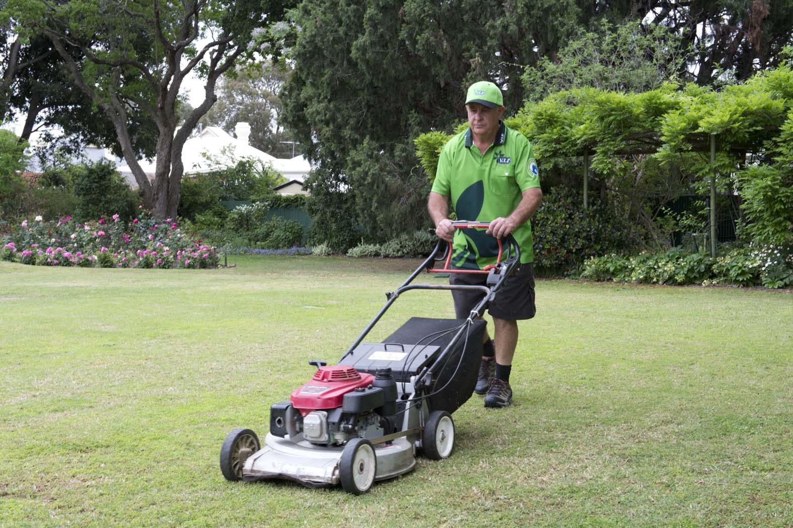 Image of Auckland Lawn Mowing