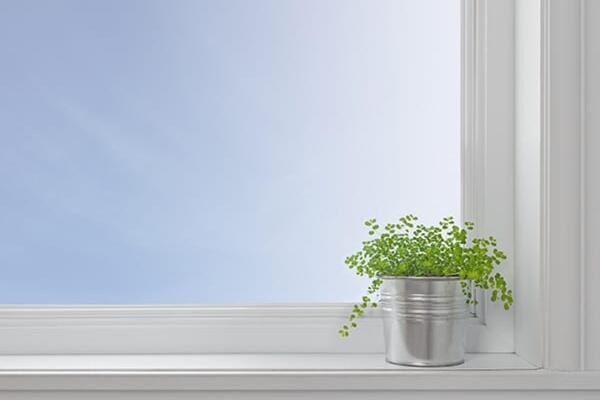 image of How to clean your window sills, tracks and fly screens